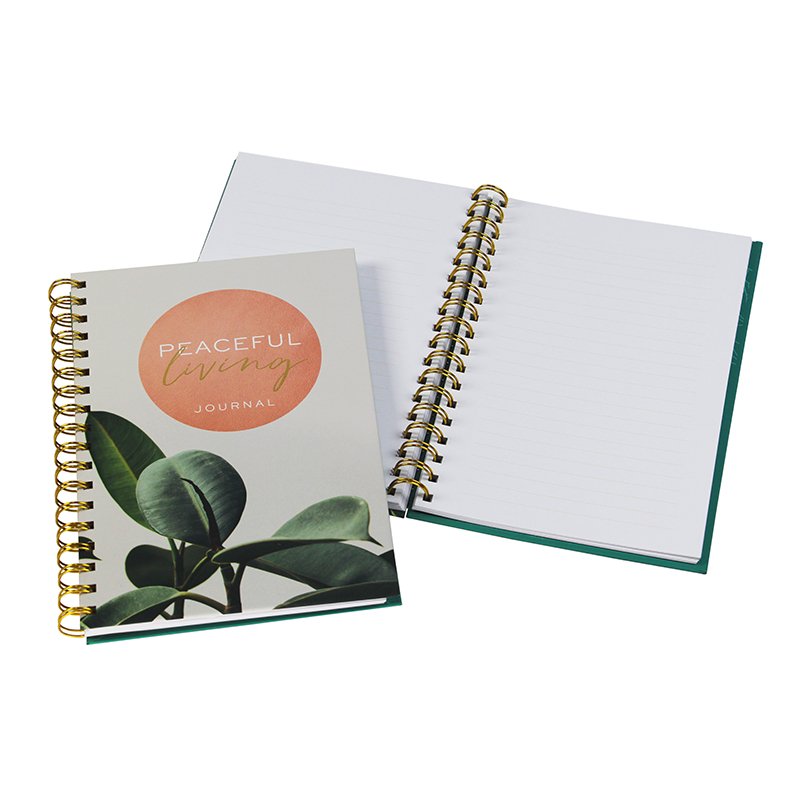 China Supplier Spiral Notebook Printing Custom Your Design Journal A5 Size Line Pages Wire-O Binding Notebooks