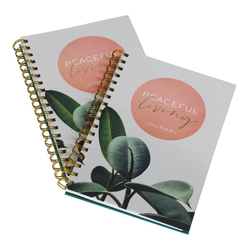 China Supplier Spiral Notebook Printing Custom Your Design Journal A5 Size Line Pages Wire-O Binding Notebooks