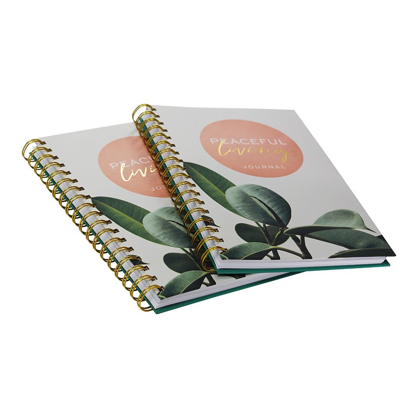 China Supplier Spiral Notebook Printing Custom Your Design Journal A5 Size Line Pages Wire-O Binding Notebooks