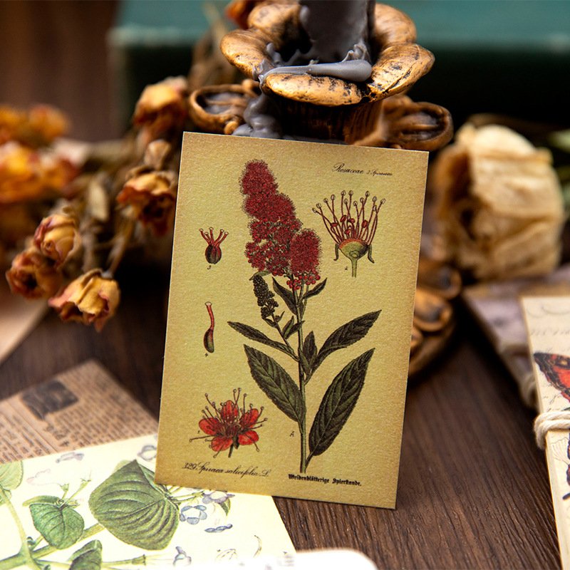 50 Pieces Per Pack Material Paper Nostalgic Memory Series Retro Hand Account DIY Material Decoration Base 6 Options