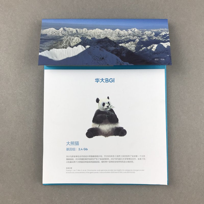 Custom Post Hardcover it custom note stationary sticky notes set booklet multi function combination book with sticky note