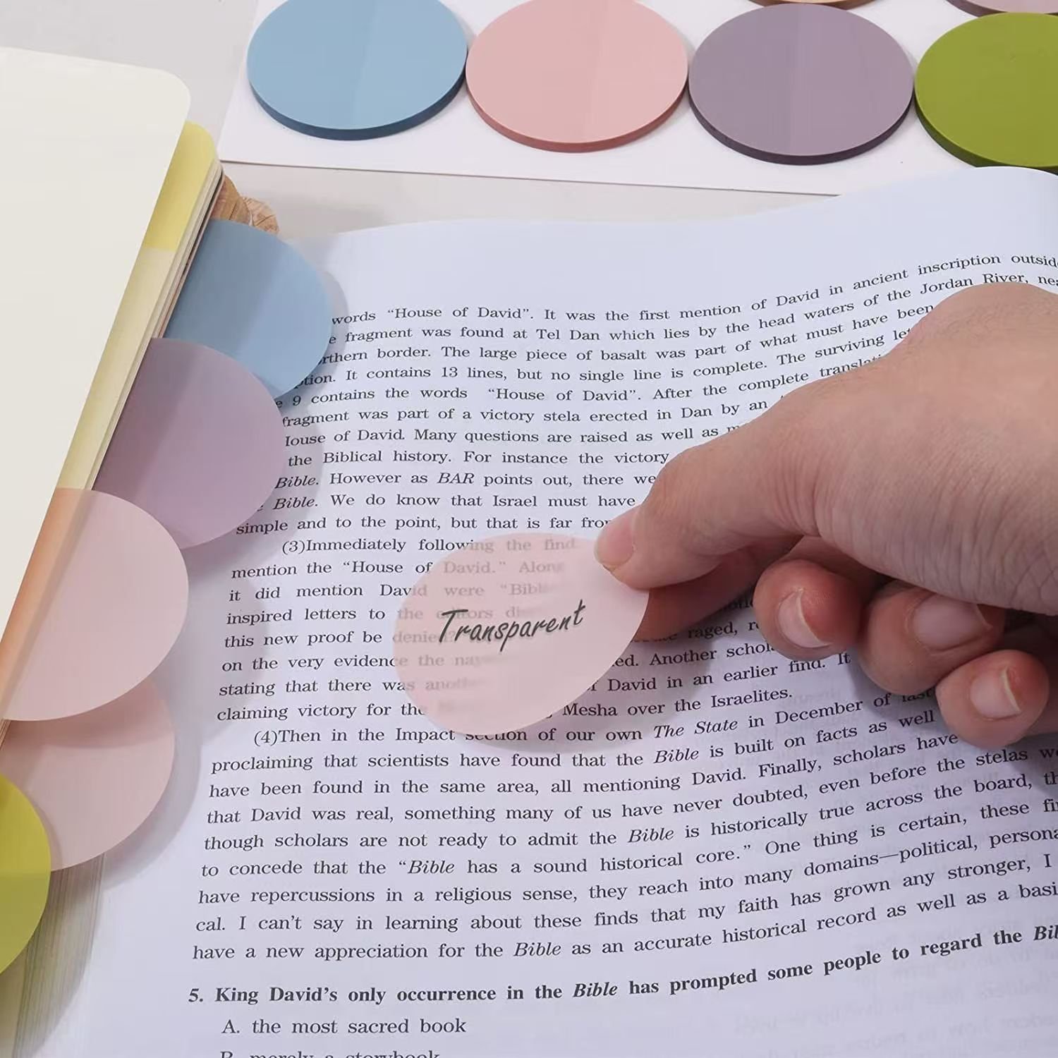 PET Transparent Colorful Sticky Note OEM Memo Pad For Studying Meeting Home Working