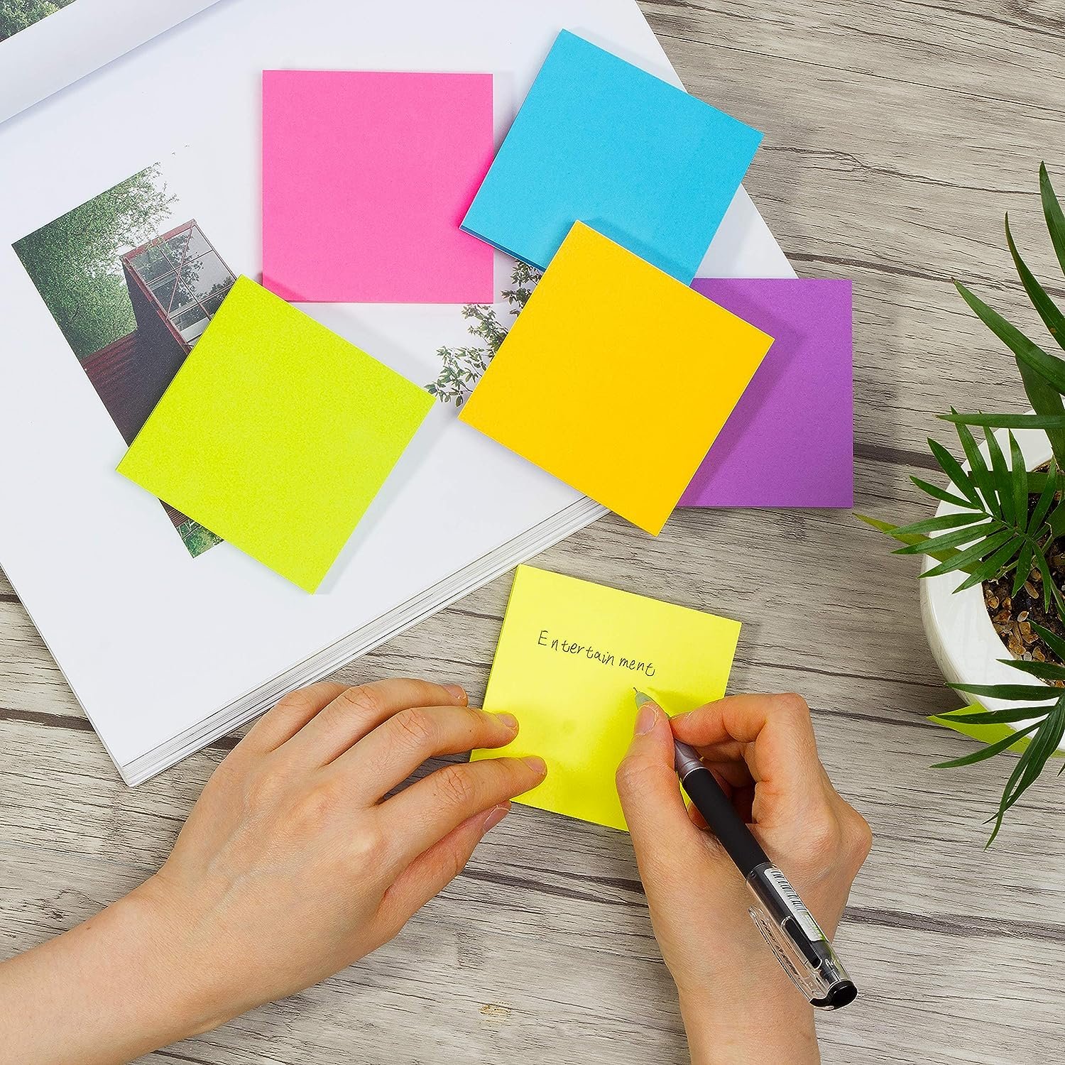 Self-adhesive Pet Custom Memo Pad Sticky Notes 3x3 Inches,Bright Colors Self-Stick Pads