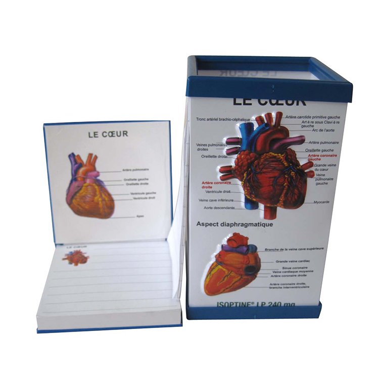 promotional doctor gift hospital medical note pad memo pad