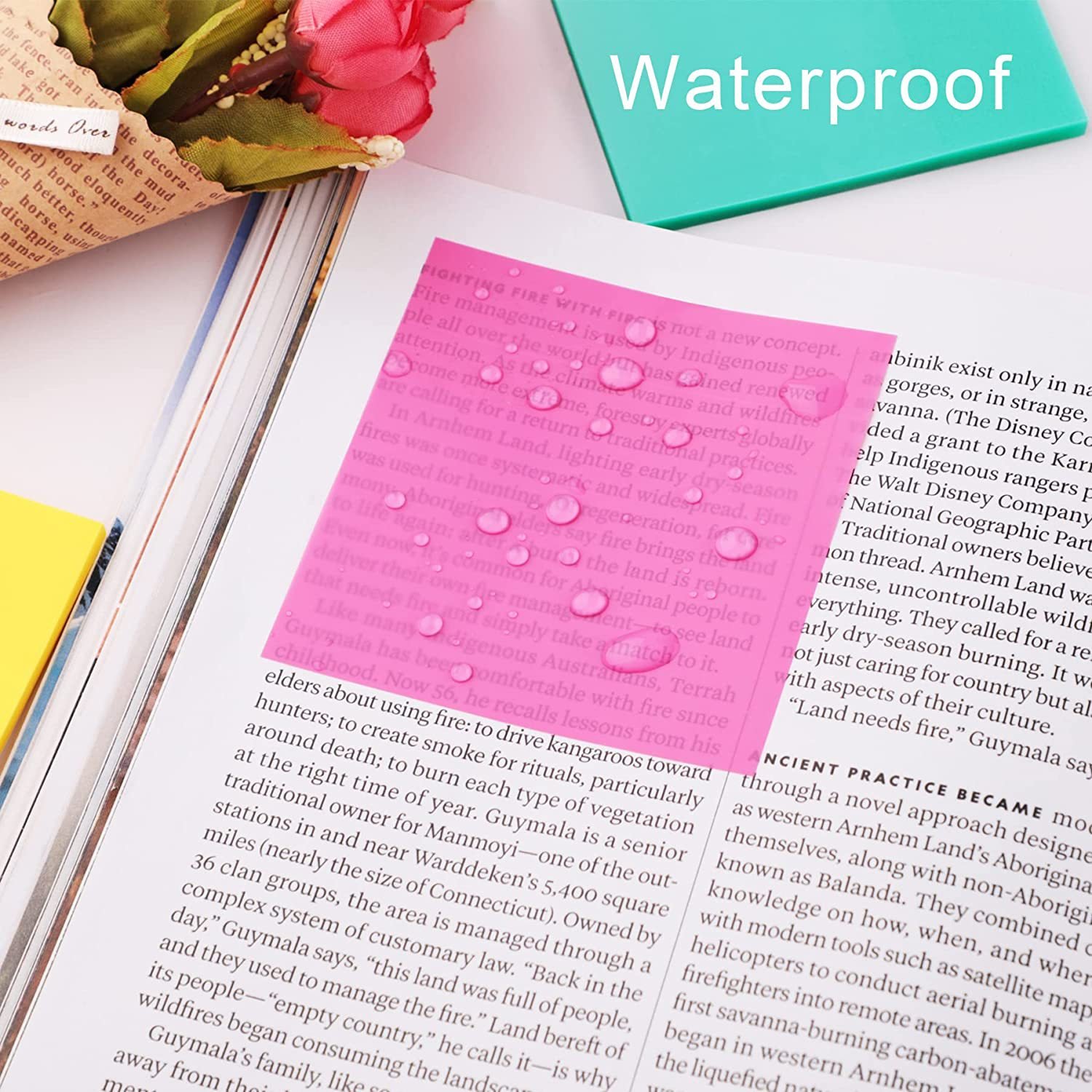 New Arrival Custom Transparent Memo pad Waterproof Color 50 Sheets Fashion Office Supplier Notepad 3x3 Inch sticky notes