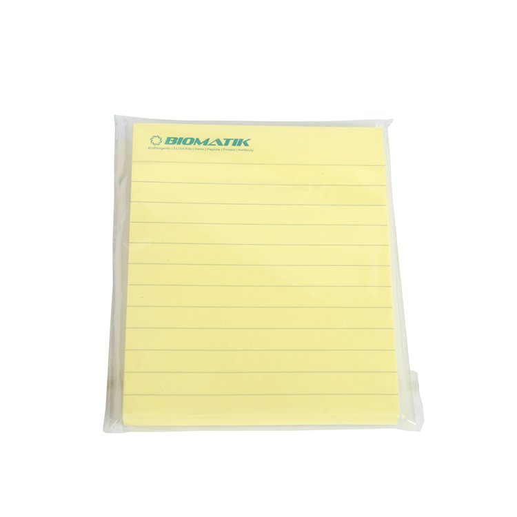 Professional sticky notes custom notepad note with logo
