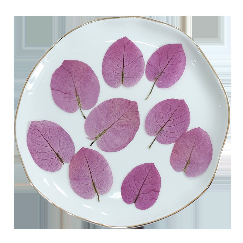 Bougainplum Dried Flower Bookmark Photo Frame Self-Adhesive DIY Hand-Embodied Painting Plant Specimen