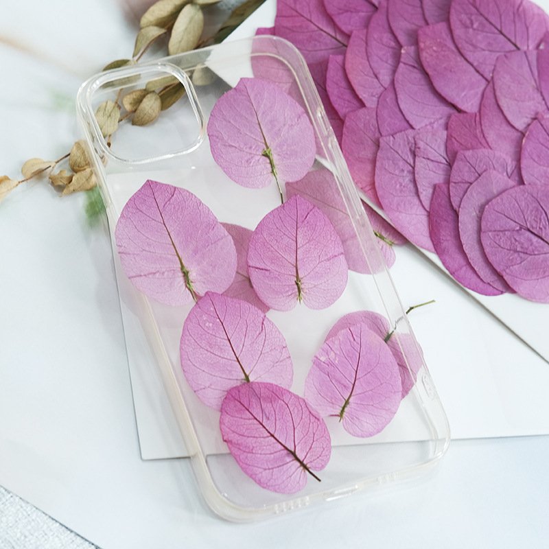 Bougainplum Dried Flower Bookmark Photo Frame Self-Adhesive DIY Hand-Embodied Painting Plant Specimen