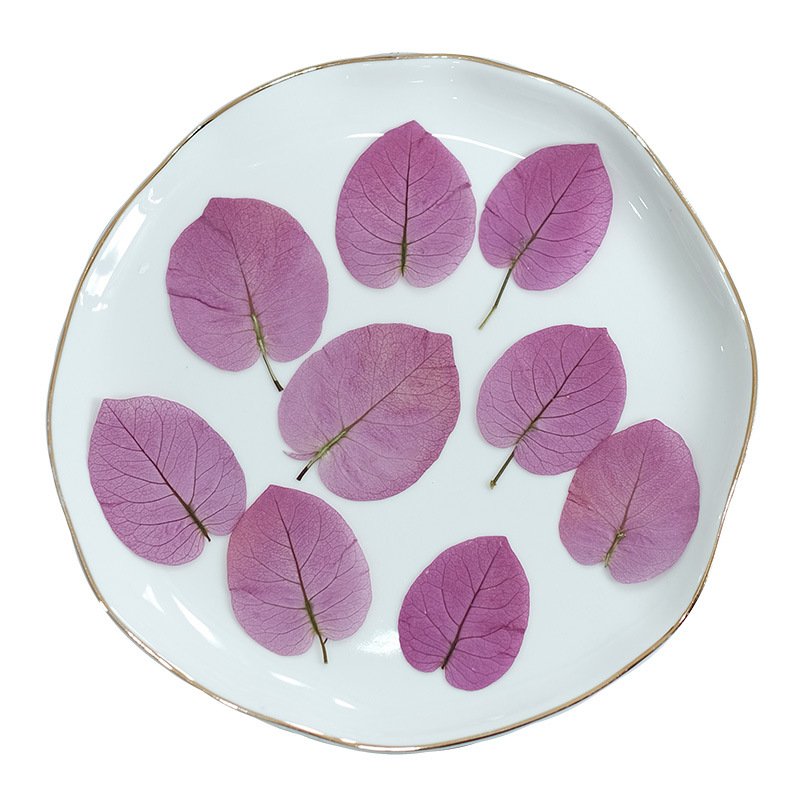Bougainplum Dried Flower Bookmark Photo Frame Self-Adhesive DIY Hand-Embodied Painting Plant Specimen
