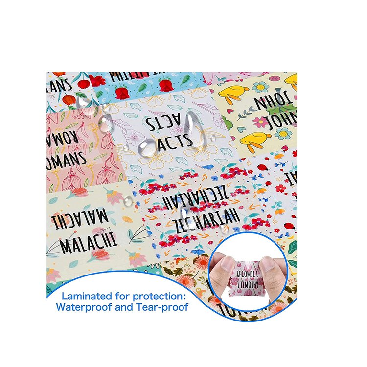 Free sample manufacturer custom popular design Laminated Vibrant Colors bible tabs with clearly printing for Bible study