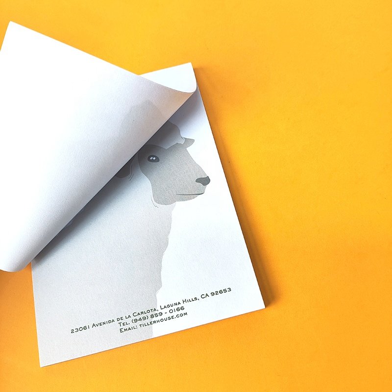 Eco-paper Wholesale A5 Spiral Daily Schedule Office memo pad High Quality Notepad Tear Notebook Packages to do list for School