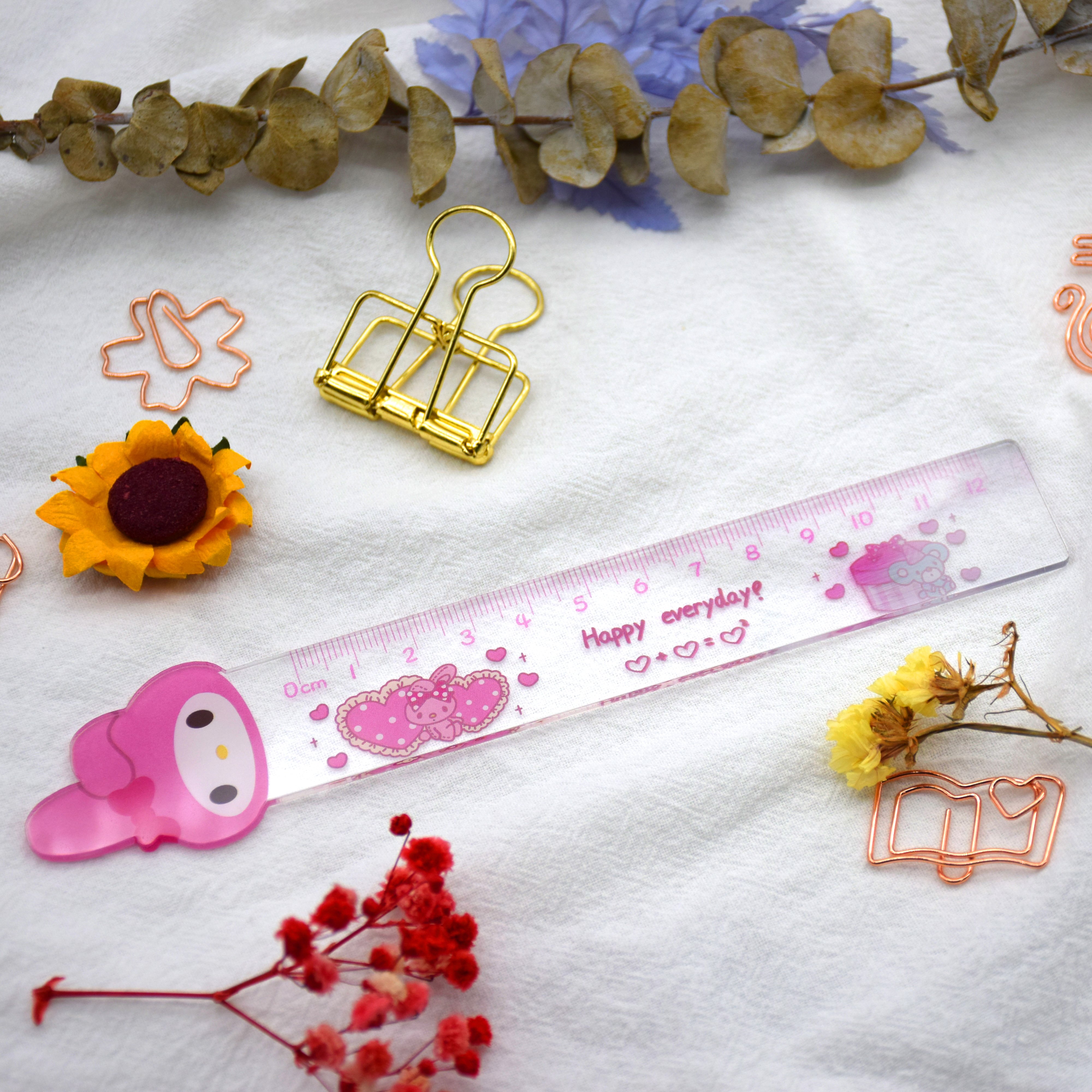 Office And School Use Flexible Plastic Transparent Metric And Dual Scale Design Ruler