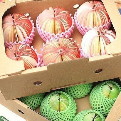 New Design Emulational Fruit Shaped Memo Pad Creative Office Stationary Apple Vegetable Sticky Notes