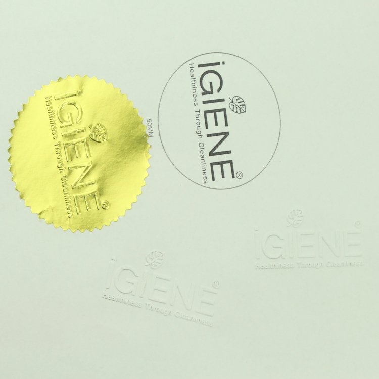 Book Embosser Personalized Library Embosser,Custom Book Embosser from the Library of Book Embosser,Embosser Stamp for Wedding