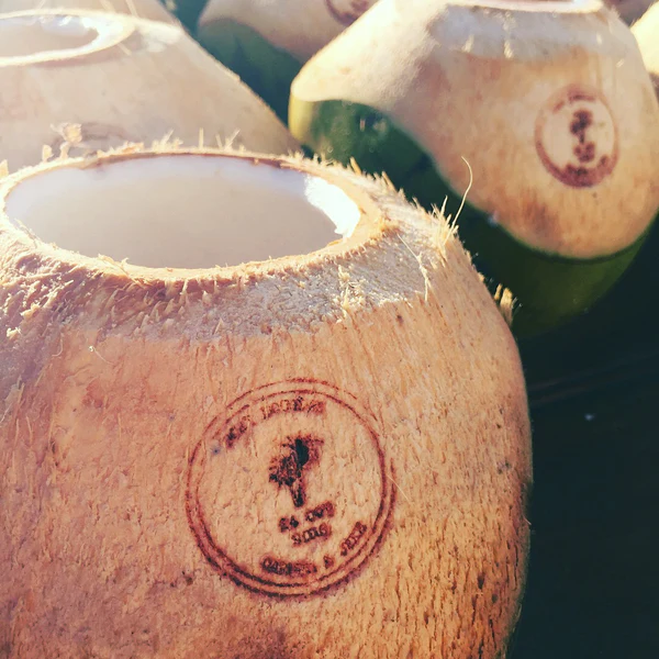 mark coconut food leather wood craft art work brass stamp brand carving OEM Customized DIY Personalize event home kitchen Tools