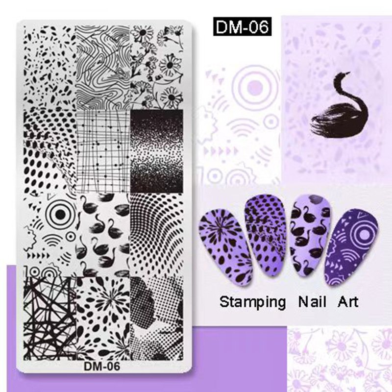 Factory Price Nail Steel Plate Nail Stamping Plate Fingertip Pattern Tools for Ladies