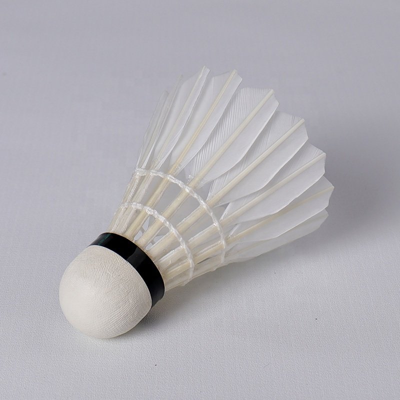 Custom Honkoo Branded Wholesale Air Aeroplane Duck Feather 12pcs Professional Shuttlecock For Training