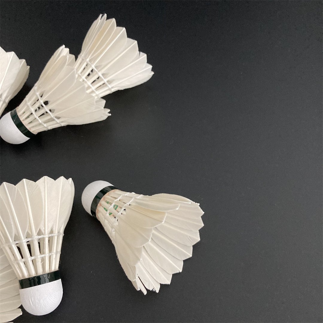Hot Sale Factory Wholesale Cheap for Training Badminton Ball OEM Available Natural Goose Feather