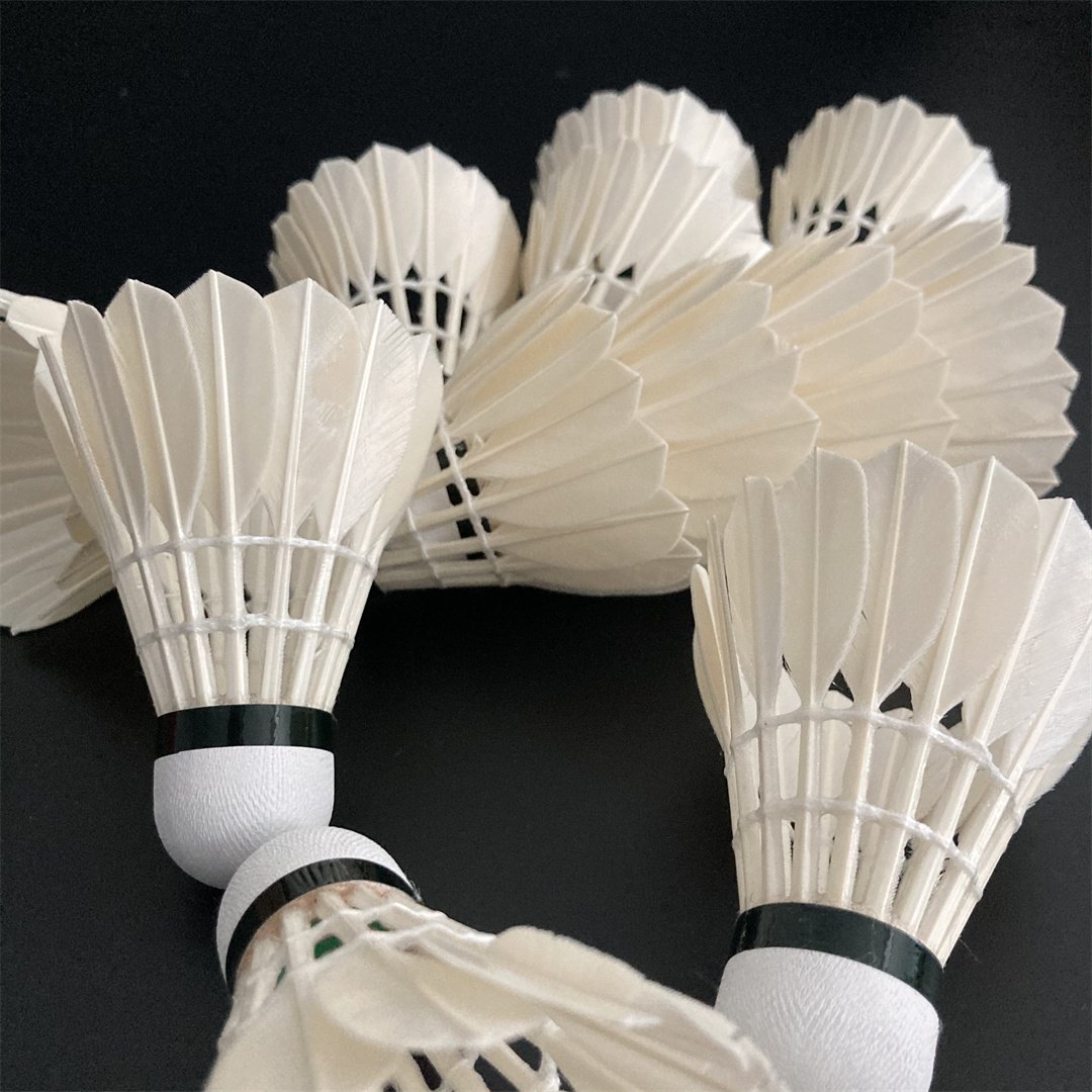 Hot Sale Factory Wholesale Cheap for Training Badminton Ball OEM Available Natural Goose Feather