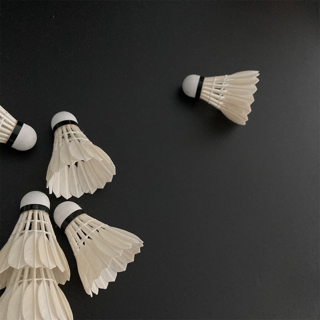 Hot Sale Factory Wholesale Cheap for Training Badminton Ball OEM Available Natural Goose Feather
