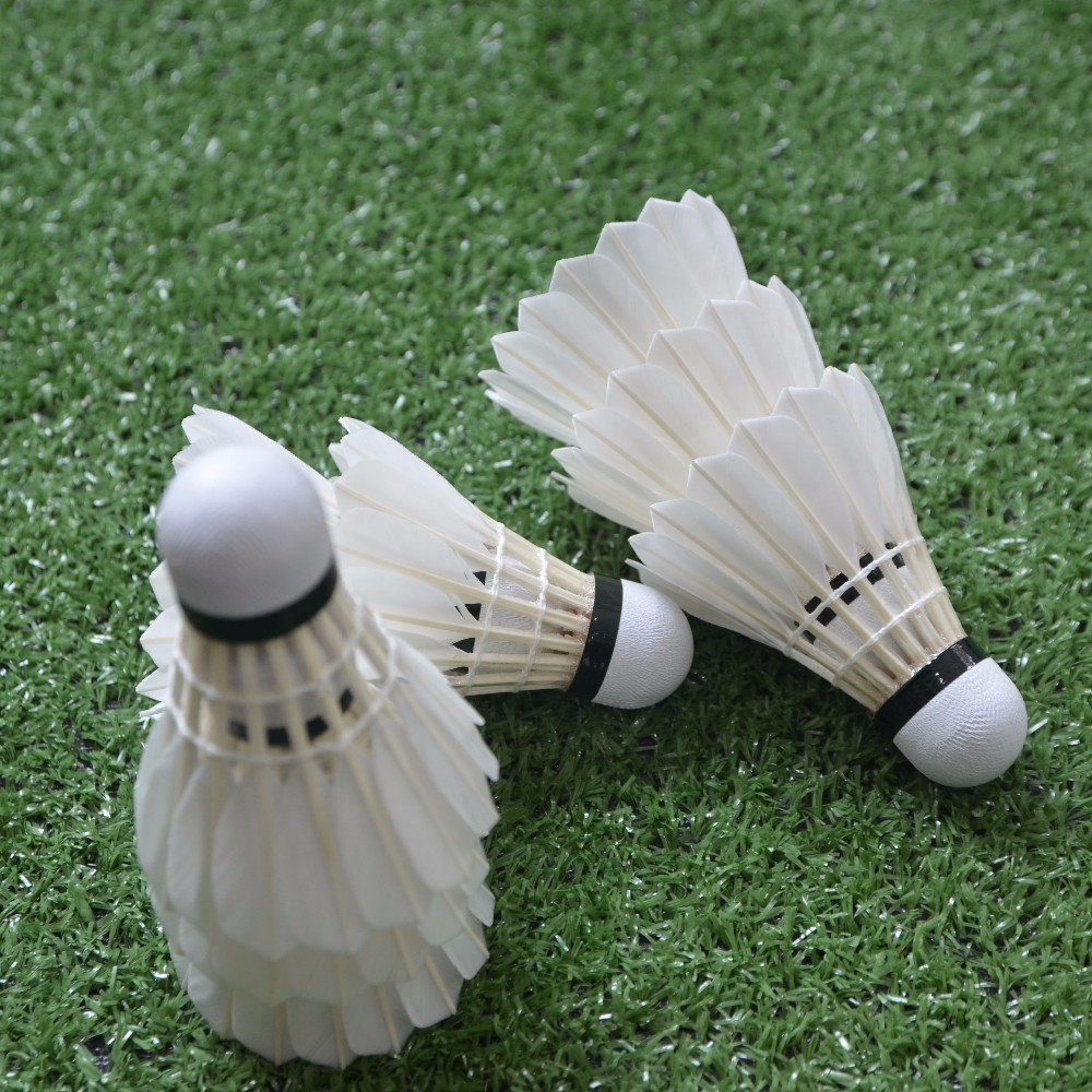 shuttlecock factory sport badminton Aeroplane EG1130 goose feather badminton shuttlecock in good quality lingmei 80 wholesale