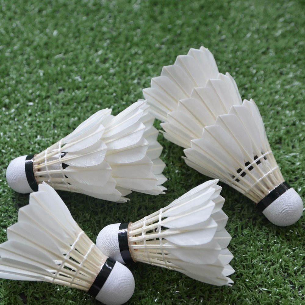 shuttlecock factory sport badminton Aeroplane EG1130 goose feather badminton shuttlecock in good quality lingmei 80 wholesale