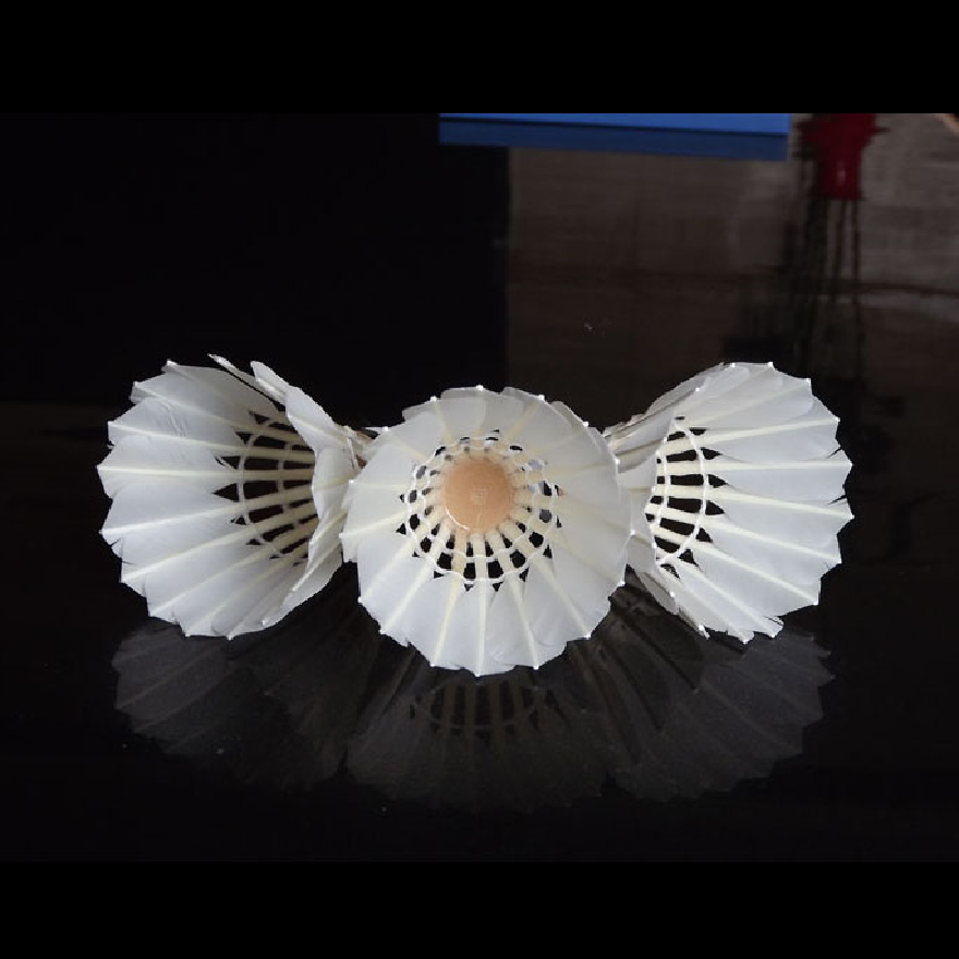 Manufacturer China Anhui Great Quality Match Crane Aeroplane Eg1130 Badminton Shuttlecock