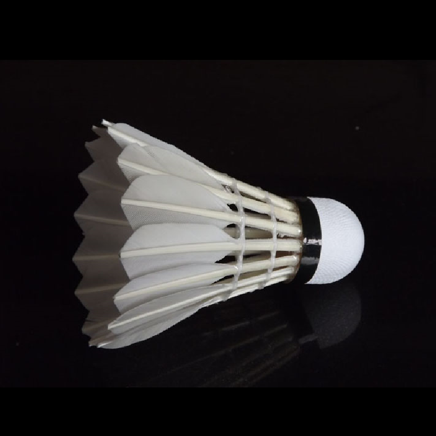 Manufacturer China Anhui Great Quality Match Crane Aeroplane Eg1130 Badminton Shuttlecock