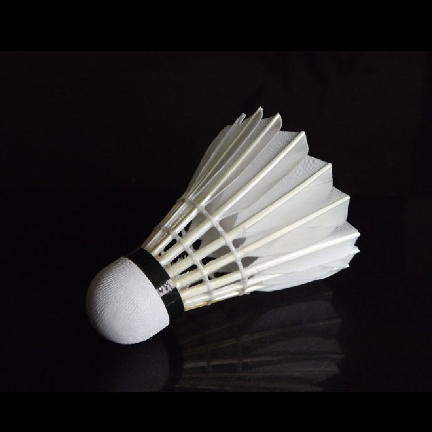 Manufacturer China Anhui Great Quality Match Crane Aeroplane Eg1130 Badminton Shuttlecock