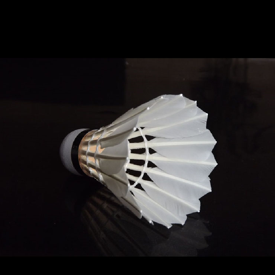 Manufacturer China Anhui Great Quality Match Crane Aeroplane Eg1130 Badminton Shuttlecock