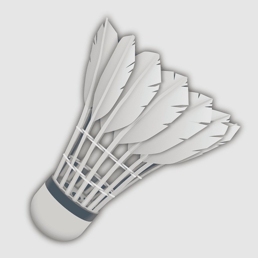 Custom Professional Badminton Sport Ball Best Quality High Stable Goose Feather Sea Head Logo Duck Cork Pcs Custom Colors BWF