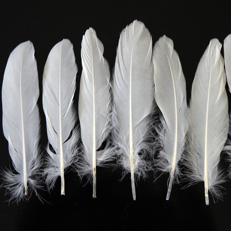 6-8'' Feather Crafts Supplier certificated goose Feather White feathers for shuttlecock badminton craft skirt angel wing