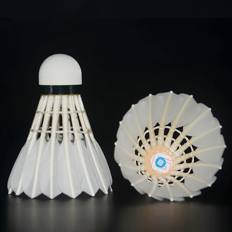 Professional tournament goose feather shuttlecock bwf for badminton training