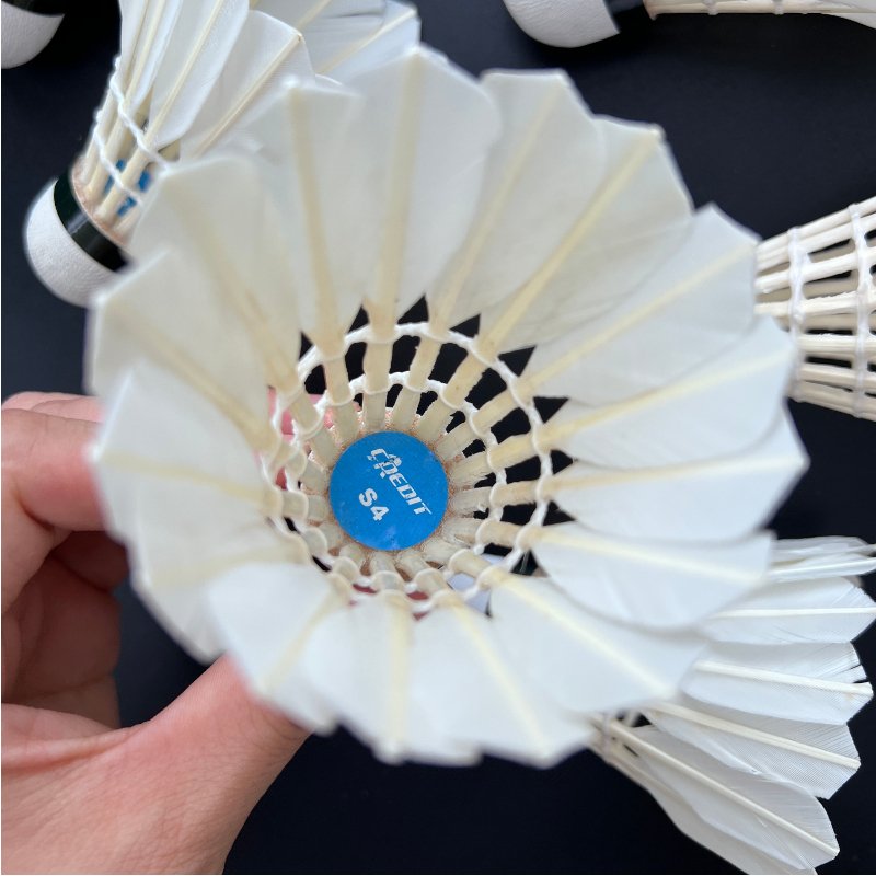 China Factory Durable Training Shuttlecock badminton duck feather shuttlecock for badminton