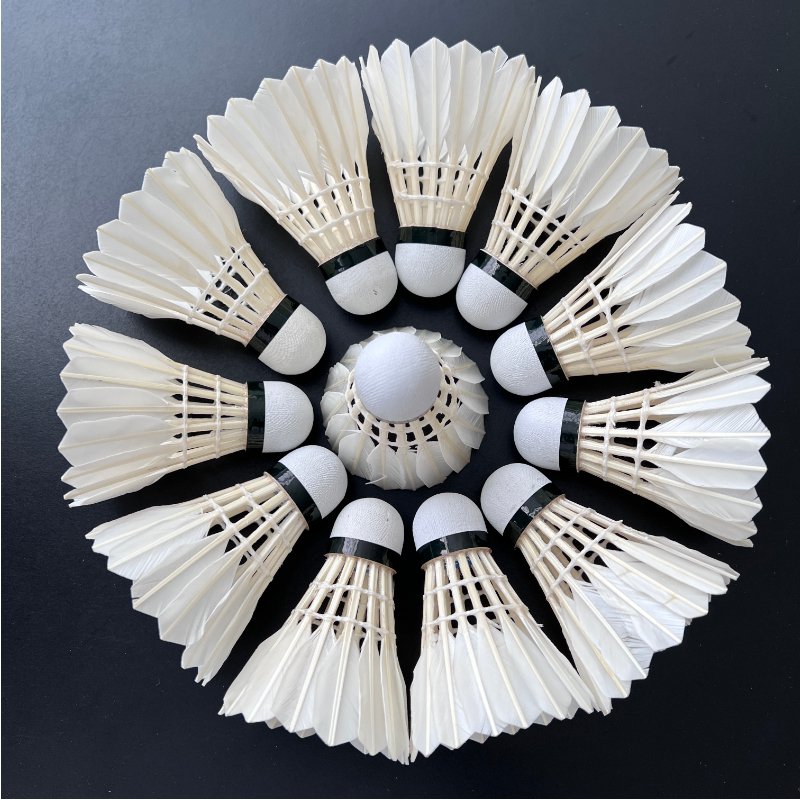 China Factory Durable Training Shuttlecock badminton duck feather shuttlecock for badminton