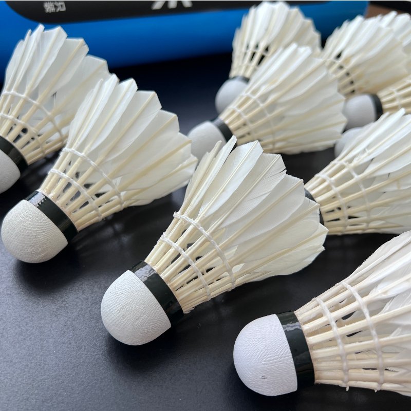 China Factory Durable Training Shuttlecock badminton duck feather shuttlecock for badminton