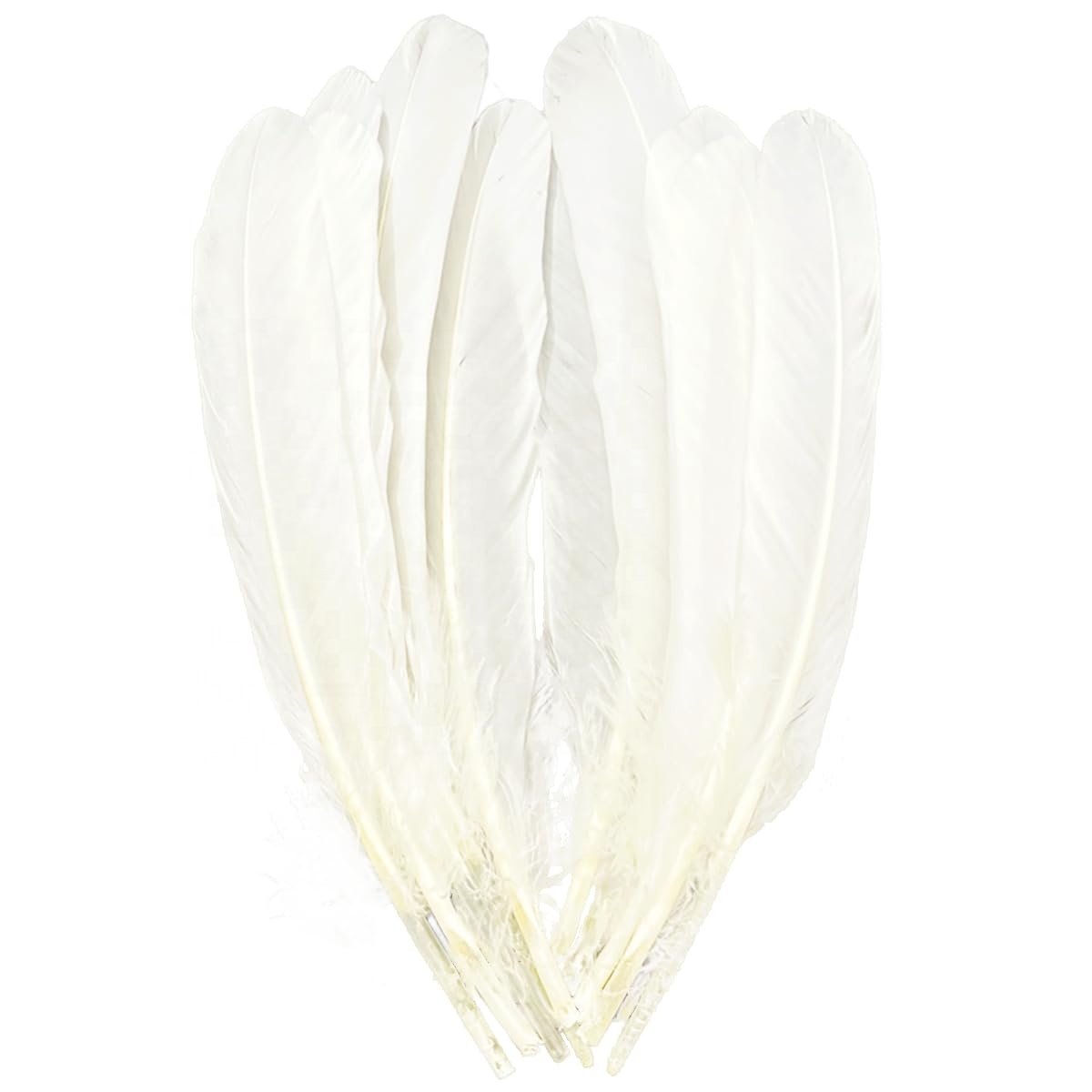 Eco-Friendly Duck Feather for Shuttlecock Production with Sustainable Quality Standards