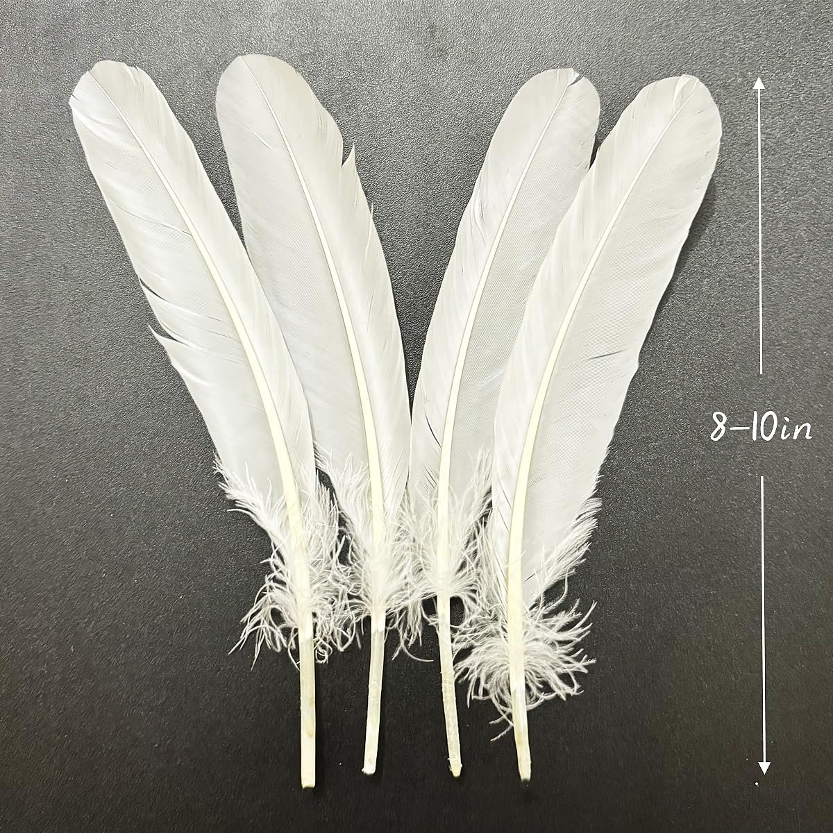 Eco-Friendly Duck Feather for Shuttlecock Production with Sustainable Quality Standards