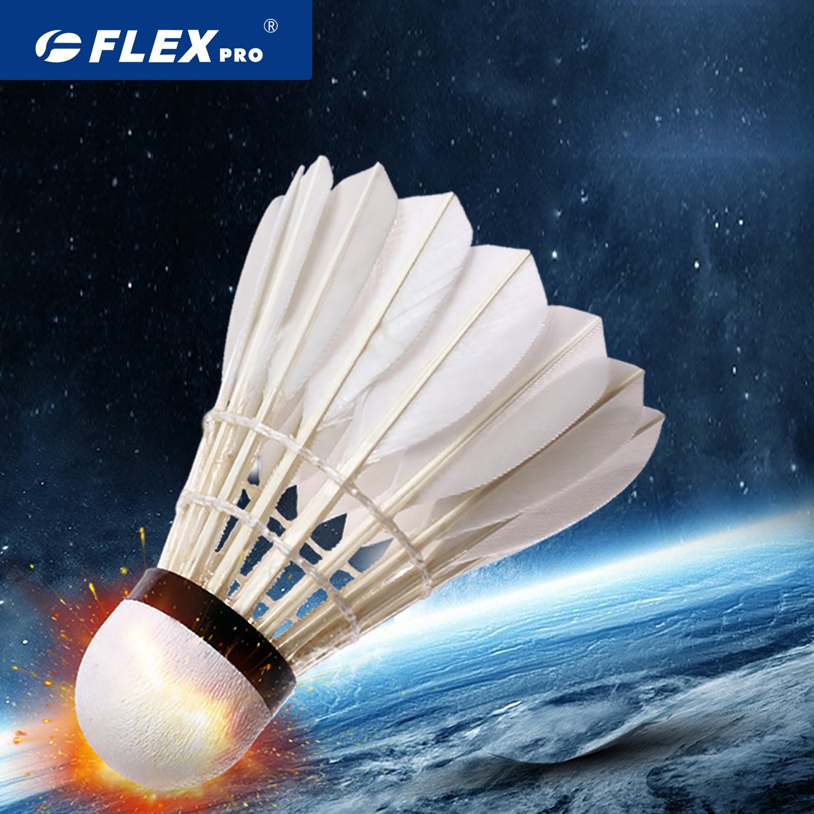 FLEXPRO FB-777Badminton Shuttlecock Indoor Outdoor Playing training duck feather shuttlecock 12pcs fob wholesale