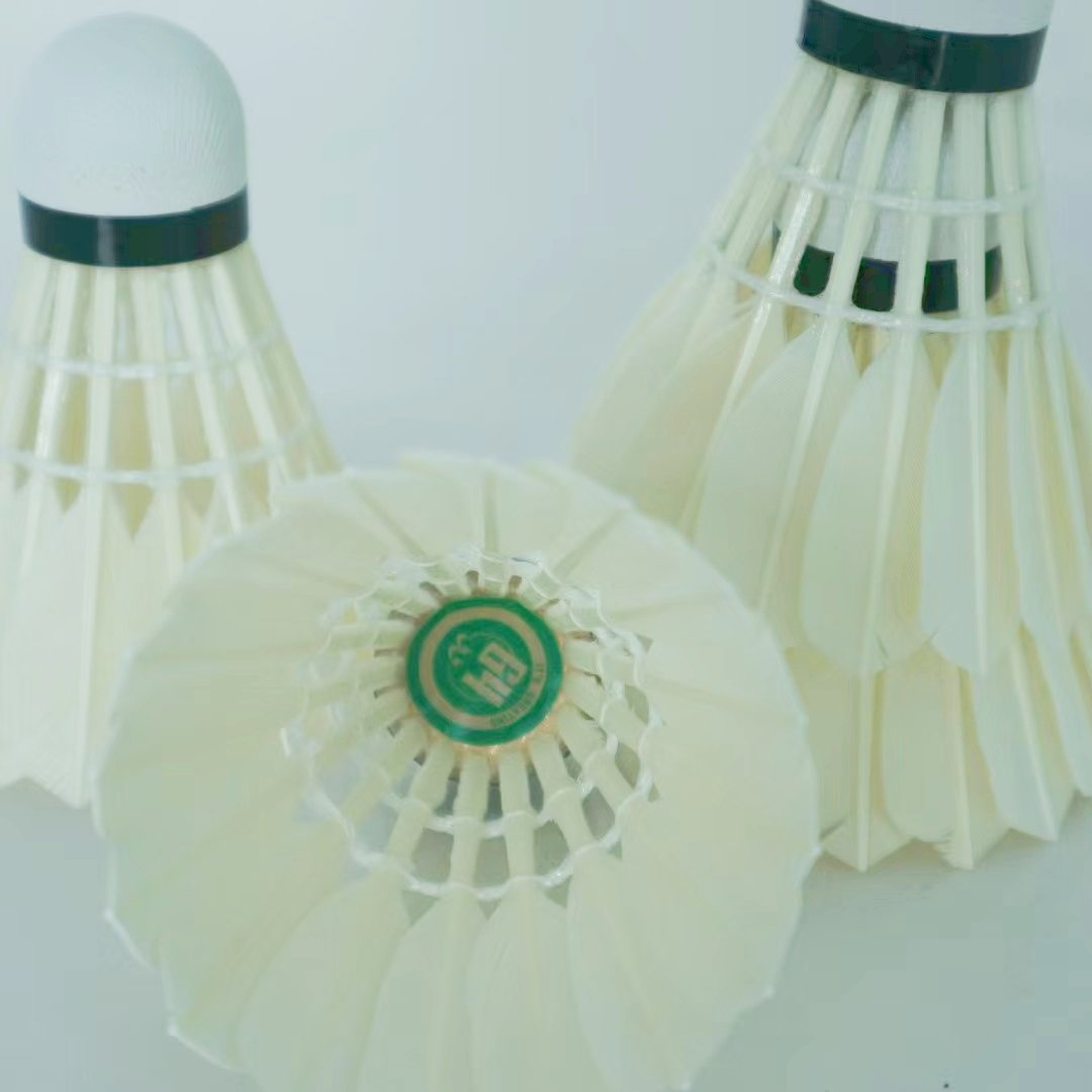 Class C all round Goose good durability and flight feathers badminton shuttlecock for professional training