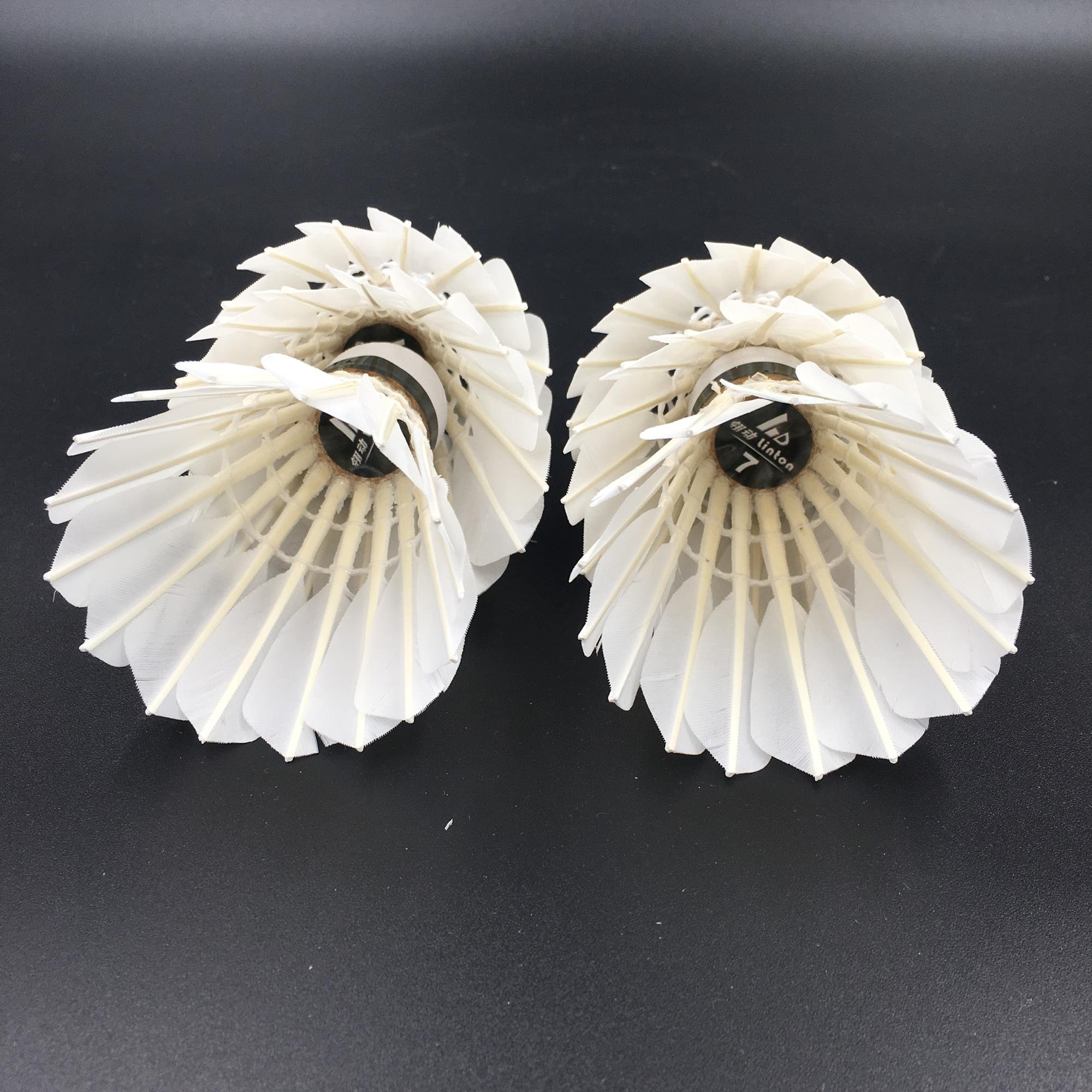 Great durability high quality stable fly cheap goose badminton shuttlecock malaysia