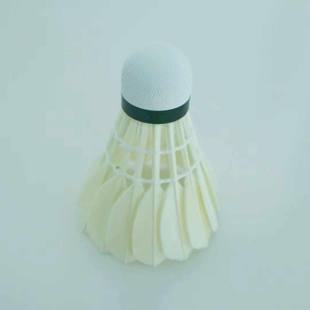 balckwashing class 5 goose feathers with pu cork badminton shuttlecock in door
