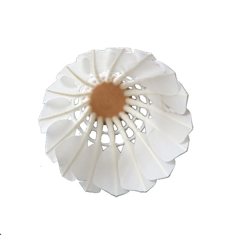 Wholesale badminton Shuttlecock class A duck feather shuttlecocks for Tournament Best Durability shuttle cock