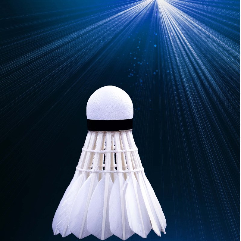 Factory Direct Sell Top Duck feathers Class a Flight Class a Durability Lining Badminton Shuttlecock Cigu/Tan Duck All Round