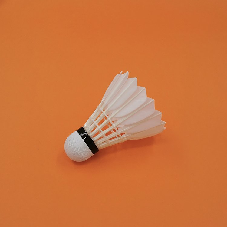 Dmantis D80 Best Quality International Competition Level Super Class Goose Feather Indoor Senior Regular Badminton Shuttlecock