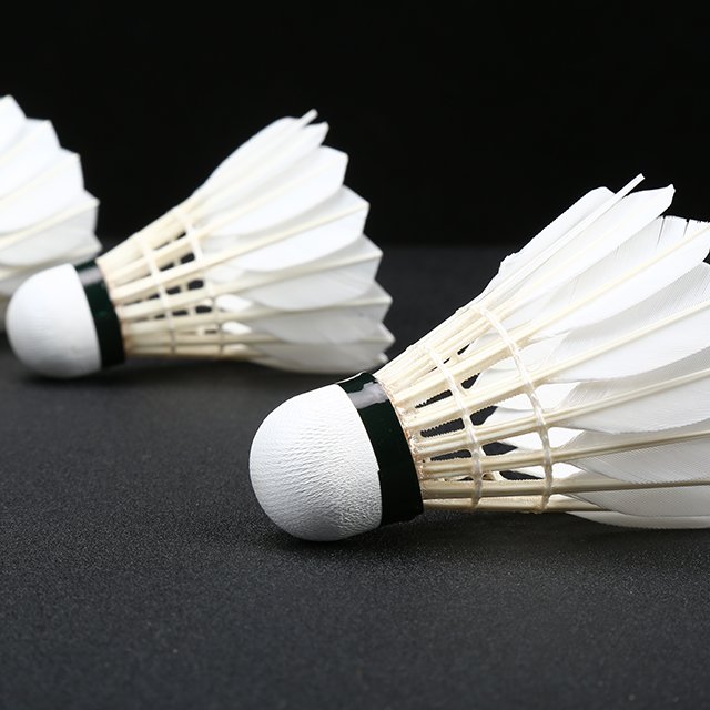 2023 Top Grade Badminton Goose Feather Shuttlecock