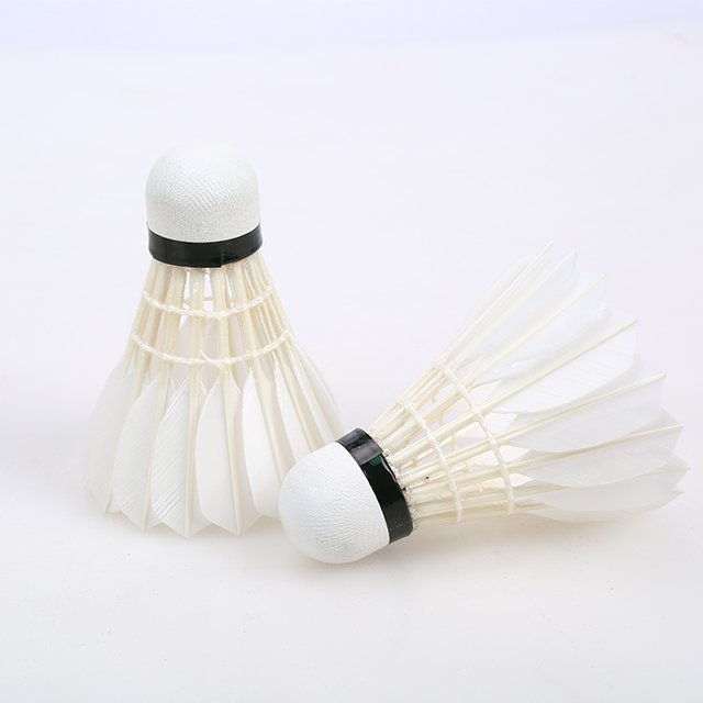 2023 Top Grade Badminton Goose Feather Shuttlecock
