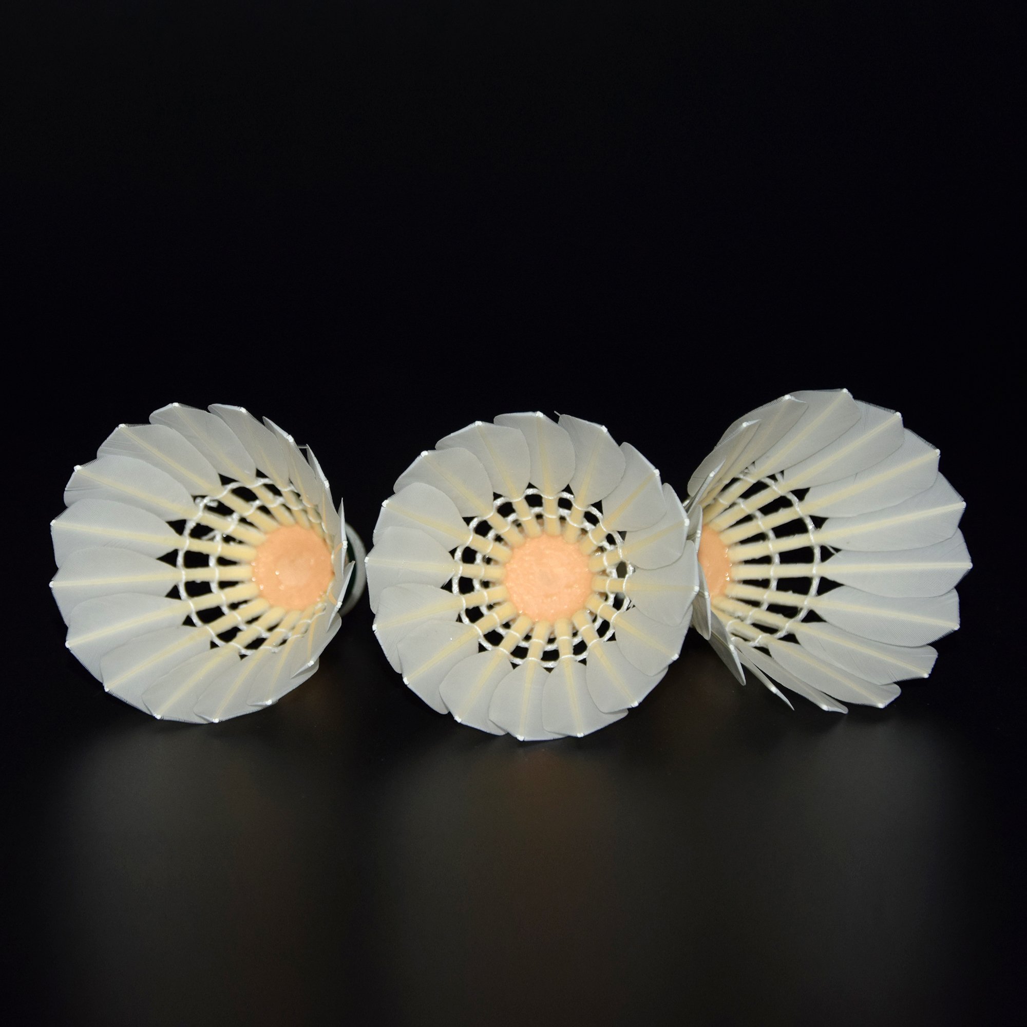 Hot Sale White Badminton Shuttlecock Cheap Wholesale White Badminton For Indoor Training for Professional Players