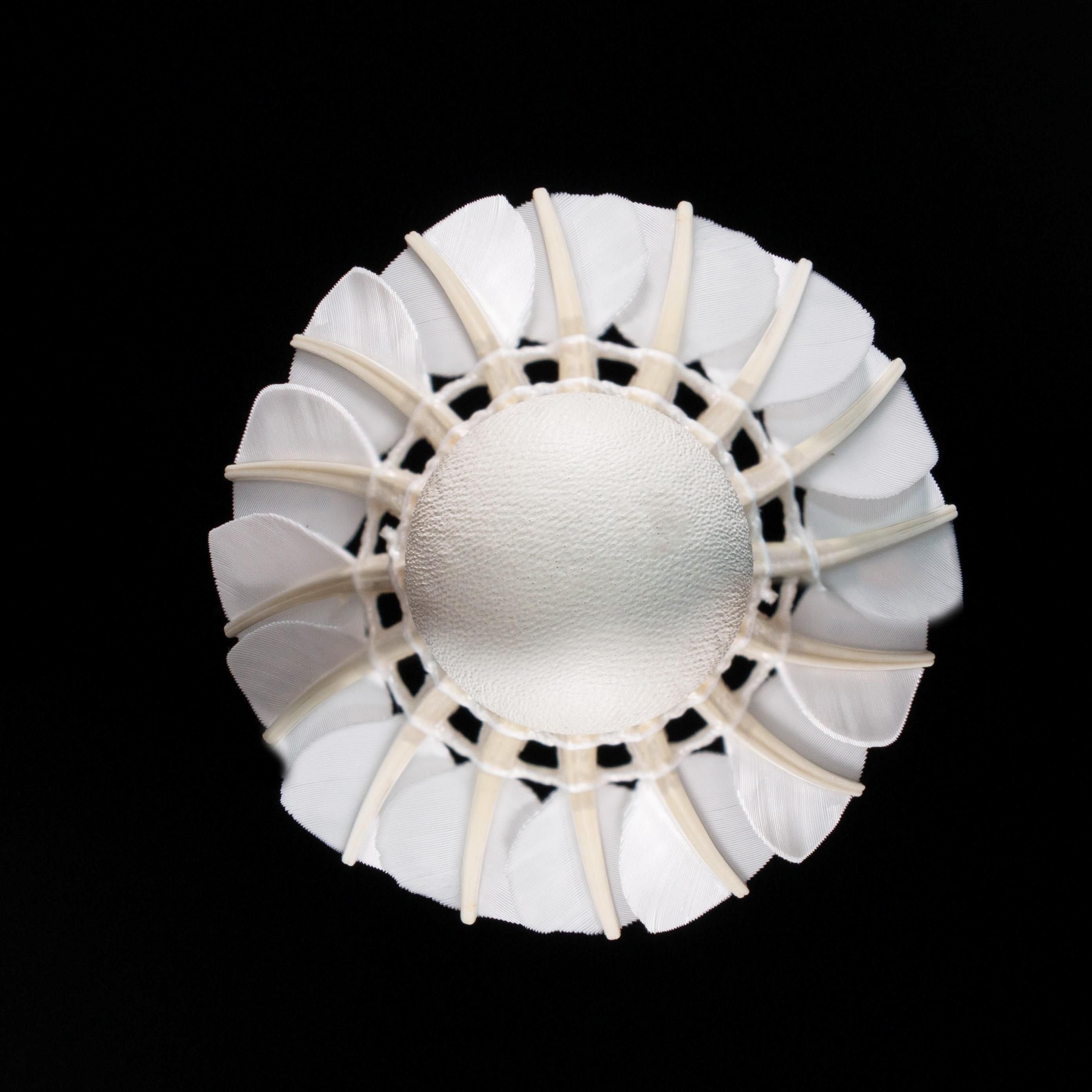 Lingmei 10 shuttlecock Goose Feather Badminton Shuttlecock