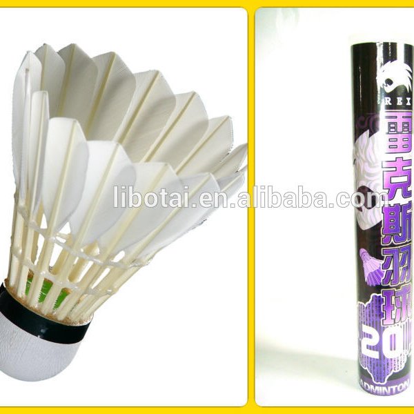 2020 Brand badminton shuttlecock T-REX20 class B duck feather badminton